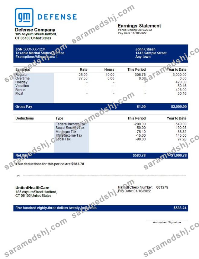 Defence company earning statement in Word and PDF formats